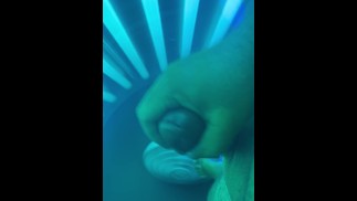 Thick dick tanning bed