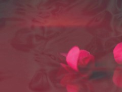 Maid Masturbates in Bed