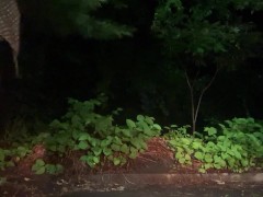 McDonald’s drive thru peeing lol 5/16