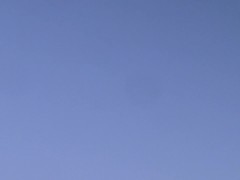 Official NEON NIGHTS Trailer Starring Jamie Stone