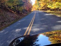 Hew Allens tries the MX5 - Screenshot 8 of 16 - Nature