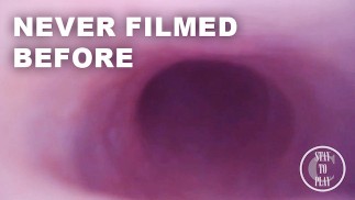 FISRT EVER POV CUMSHOT FROM INSIDE THE PROSTATE - Preview