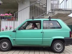 BOUNCING AN OLD PANDA 5/16