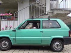 BOUNCING AN OLD PANDA 7/16