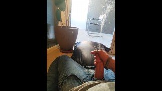 Pipi-Verzweiflung auf meine Pflanze und mein Kissen