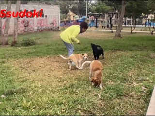 La ENGAÑE Con Ver Gatos y La Llevé a La Cama Para COGERLA, CREAMPIE sub Eng