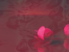 Part 1: Maid Caught Masturbating