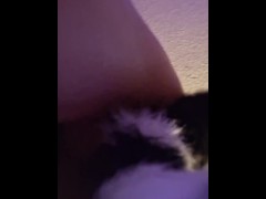 Wearing Fox tail, pussy wants Fucked