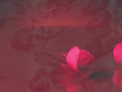 Extreme Squirting with Gag Ball