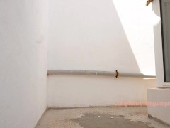 Nice ass pees in public