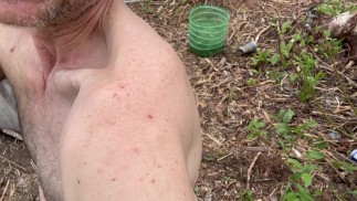 Part 1 Outdoor Bush Survival Cooking
