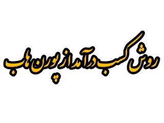 روش کسب درآمد از پورن هاب