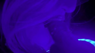 ASMR La meilleure pipe de votre vie, sperme dans la bouche