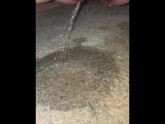 Piss on carpet