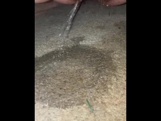 Auf Teppich Gepisst
