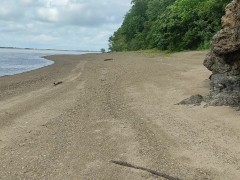 Неожиданная находка. Девушка показала себя голой, а потом убежала - Screenshot 1 of 16 - Doggystyle