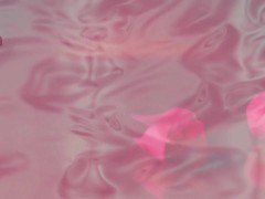 Massaging Big Ebony Boobs