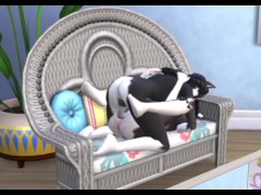 Sex on chair in living room