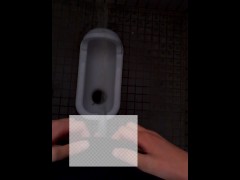 和式トイレで立ちションしたら、全部壁にかかっちゃった - Screenshot 3 of 16 - 日本人
