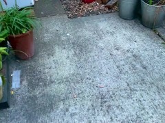 Sissy piggy inspecting its black balls after CBT ball busting with weights angel Scarlett black