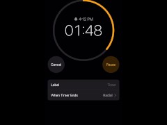 5 minute timer - Screenshot 11 of 16 - Stops Time