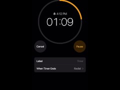 5 minute timer - Screenshot 13 of 16 - Stops Time