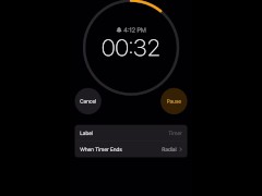 5 minute timer - Screenshot 15 of 16 - Stops Time