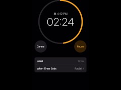 5 minute timer - Screenshot 9 of 16 - Stops Time