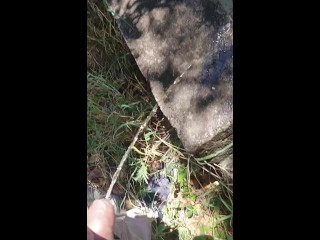 休息一下……记录新的驴子。很快就跟着我......