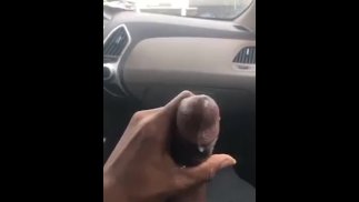 Cuming in the car I couldn’t hold it back