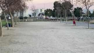 Public Park Masturbation