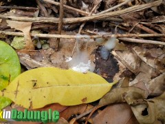 Fuck me with that Pussy Horny Thick Cock Freak Dirty Talk and Masturbate- Full video