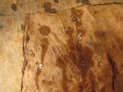 FUCVph3 L4uren Ph0en1x 4rth official cum (cumshot only)