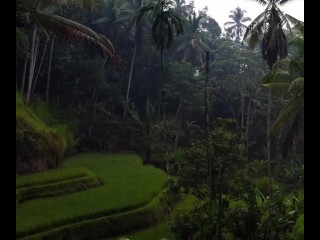 Расслабьтесь после хорошего секса, наслаждаясь успокаивающим видом на джунгли