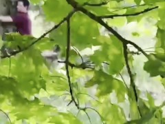 Viens en ballade avec moi 13/16