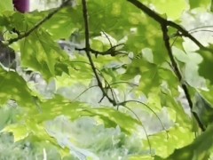 Viens en ballade avec moi 14/16