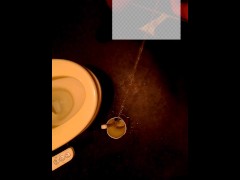 掃除道具をおしっこで洗ってきた