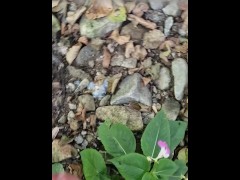 Fast Handsfree Cumpilation In Nature - Multiple Ejaculations - Very easy to do it if you want