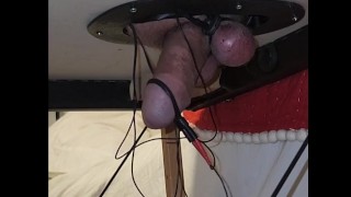搾乳テーブルの上のエスティム