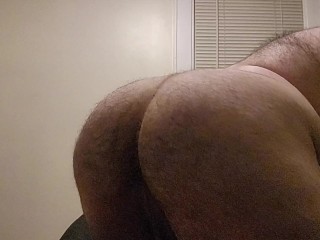 胖毛熊屁股
