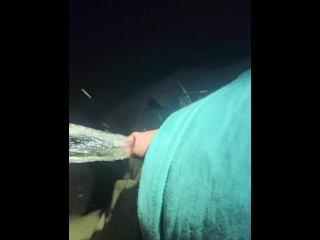 Pissing at Night Outdoors