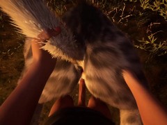 The Predator And Its Prey ( Wild Life )