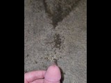 Short Carpet Piss 《4k》