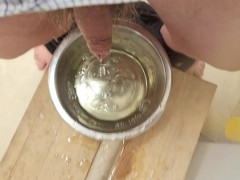 Made a mess pissing in the kitchen