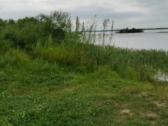 Молодая мамочка на природе, начинающая эксгибиционистка показала свою попку - Screenshot 1 of 16 - Run Naked