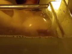 Tit swimming