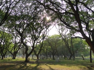 TEST 1920x1080 46 МБ