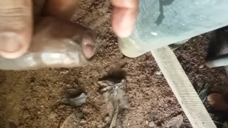 В трубе для спермы