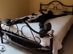 Self bondage, orgasm denied - Screenshot 9 of 16 - Ball Gagged