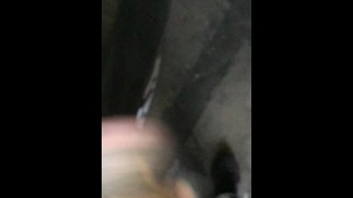 Pornostar mit 11inches Schwanz lutschen